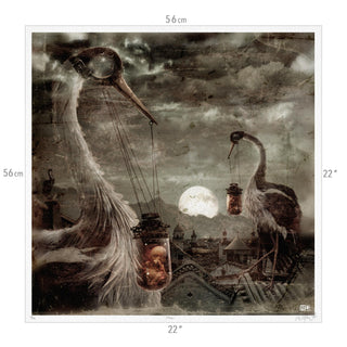 Storks ~ Exclusive Limited Edition
