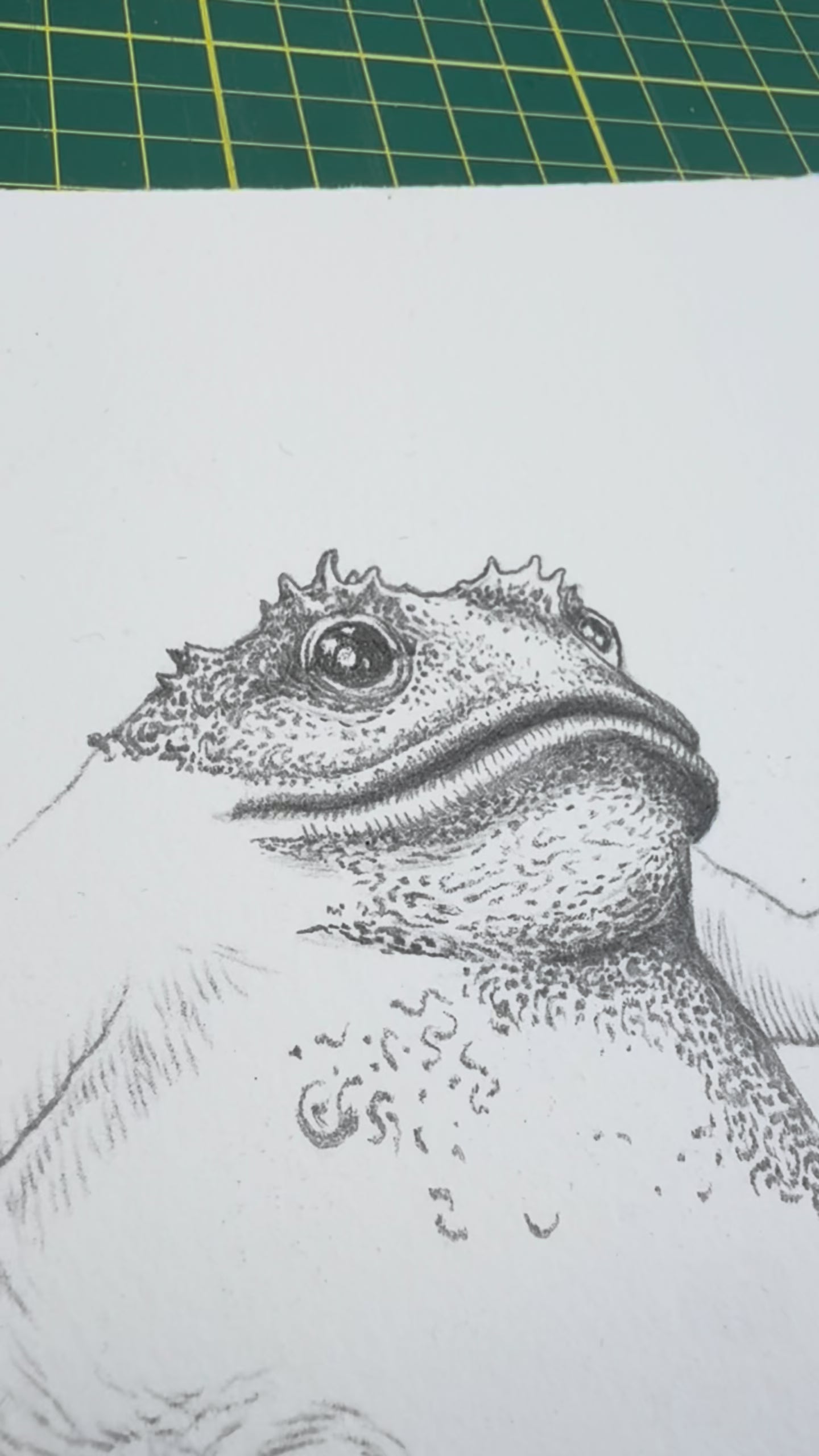 The Loveland Frogman ORIGINAL