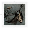 The Entire Animalia Collection