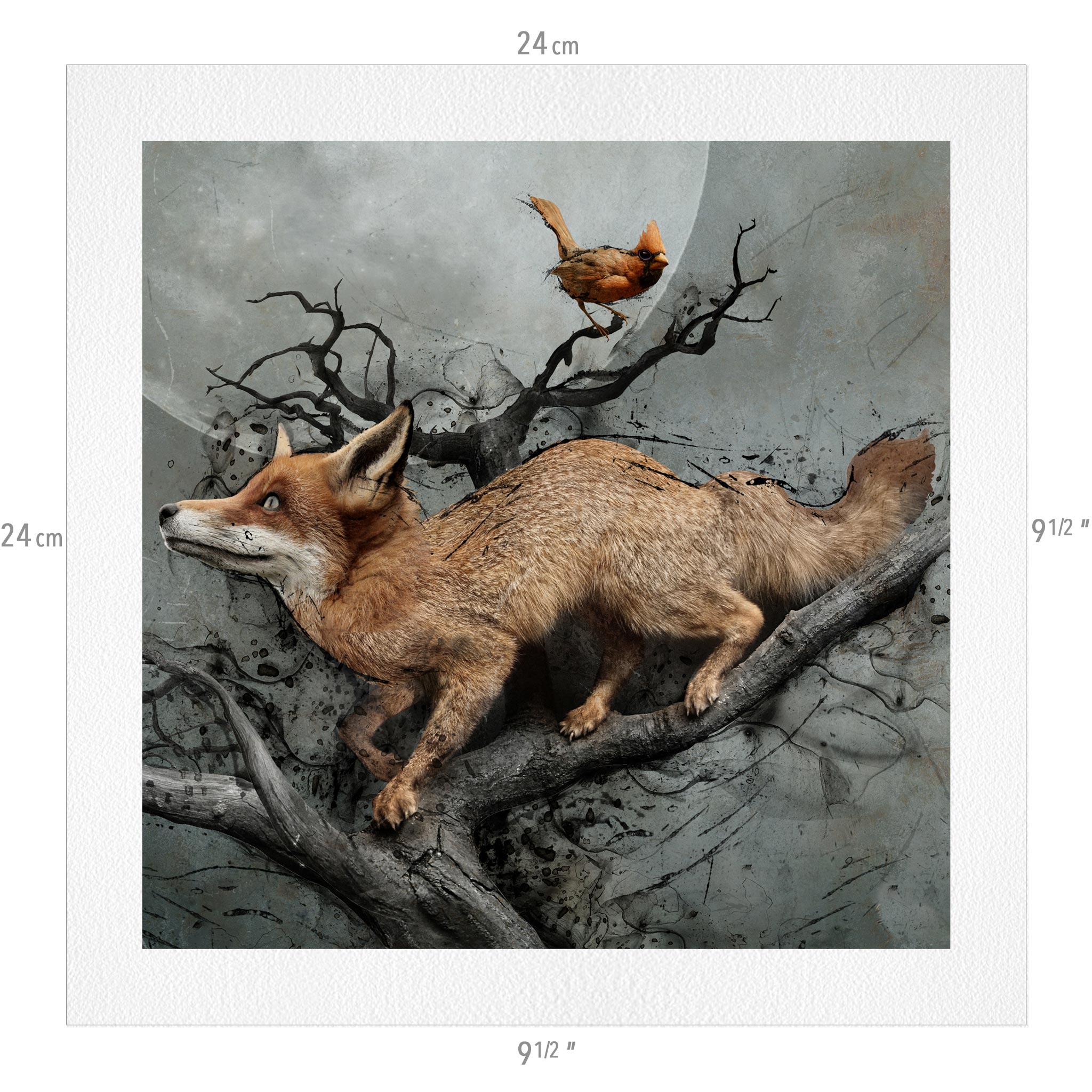 Under the Fox Moon