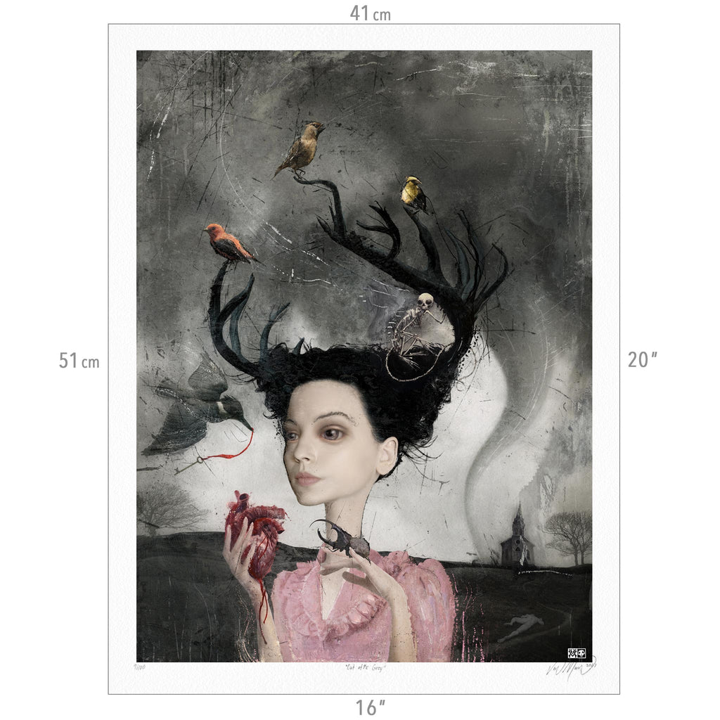 Out of the Grey
