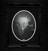 "ILLUME" Oval Limited Edition with SHIPPING INCLUDED