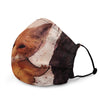 Fox Face Mask