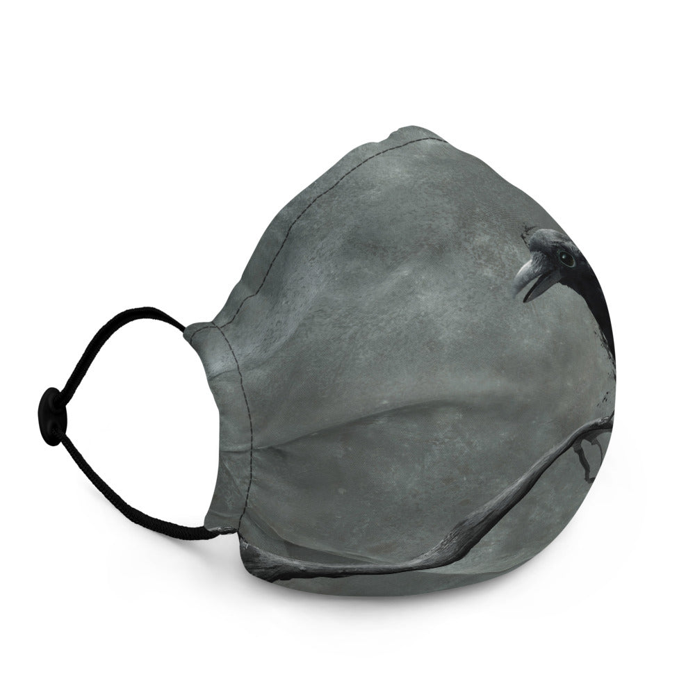 The Raven Face Mask