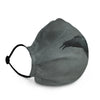 Raven Face Mask
