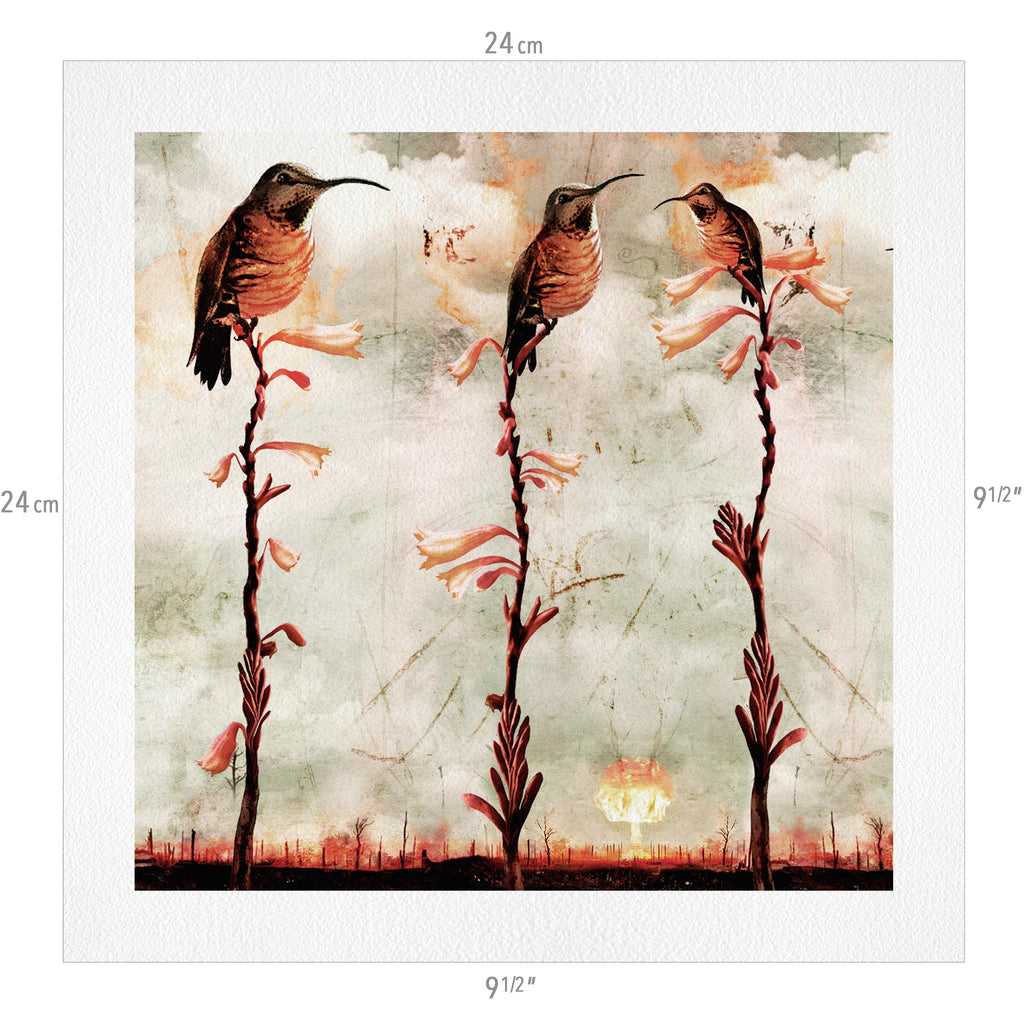 The Entire Animalia Collection