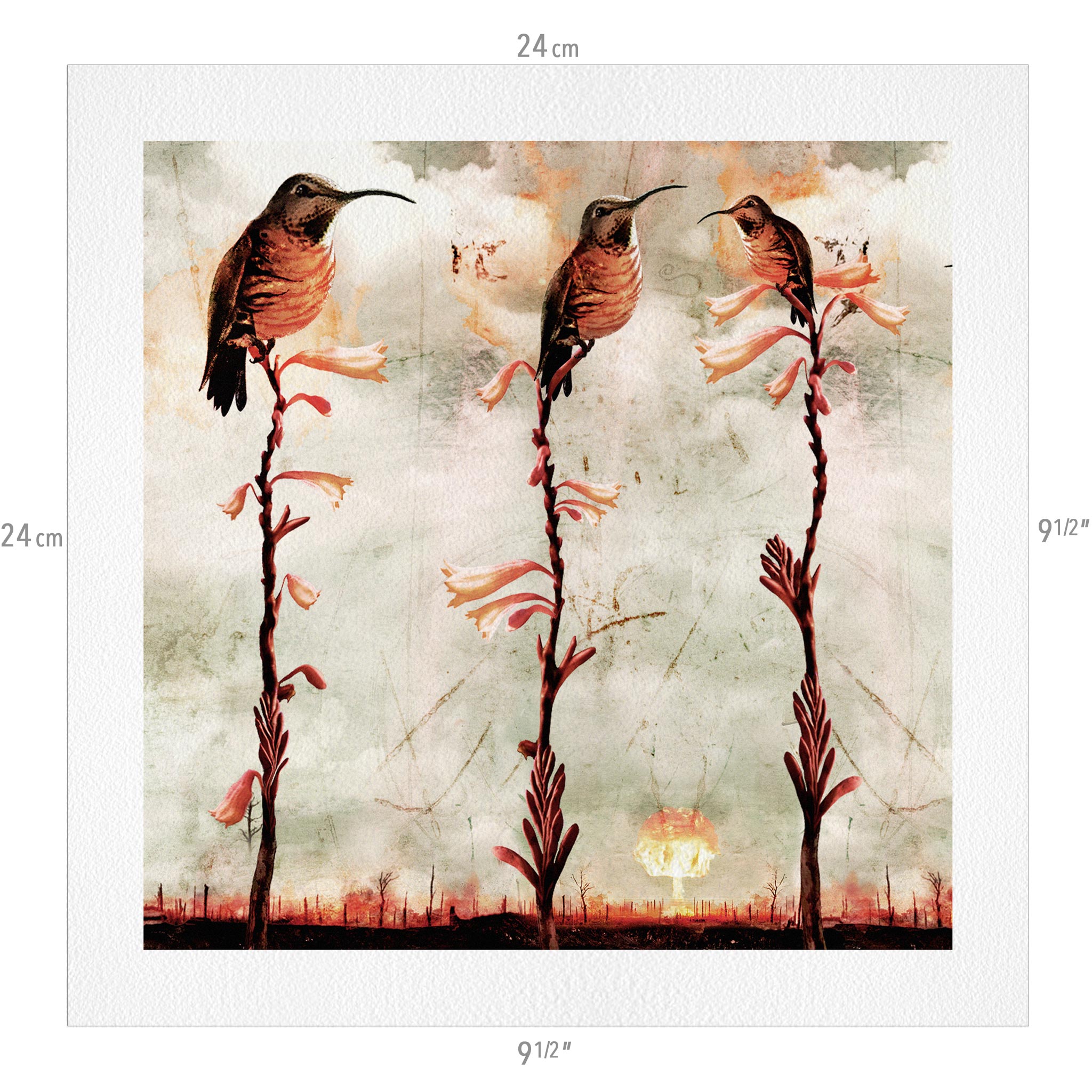 The Entire Animalia Collection