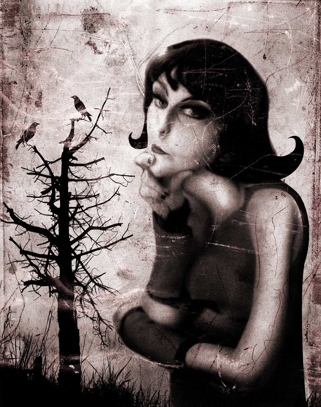 The Lady ParaNorma