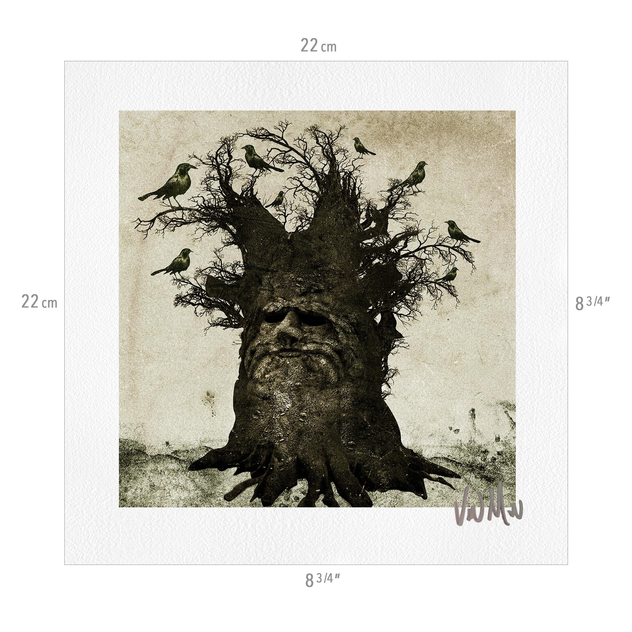 Signed Copy of "The Lady ParaNorma" Plus 3 Prints