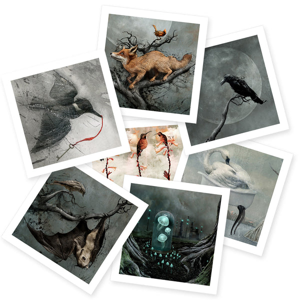 The Entire Animalia Collection