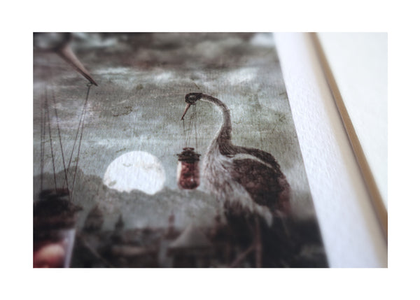 Storks ~ Limited Edition