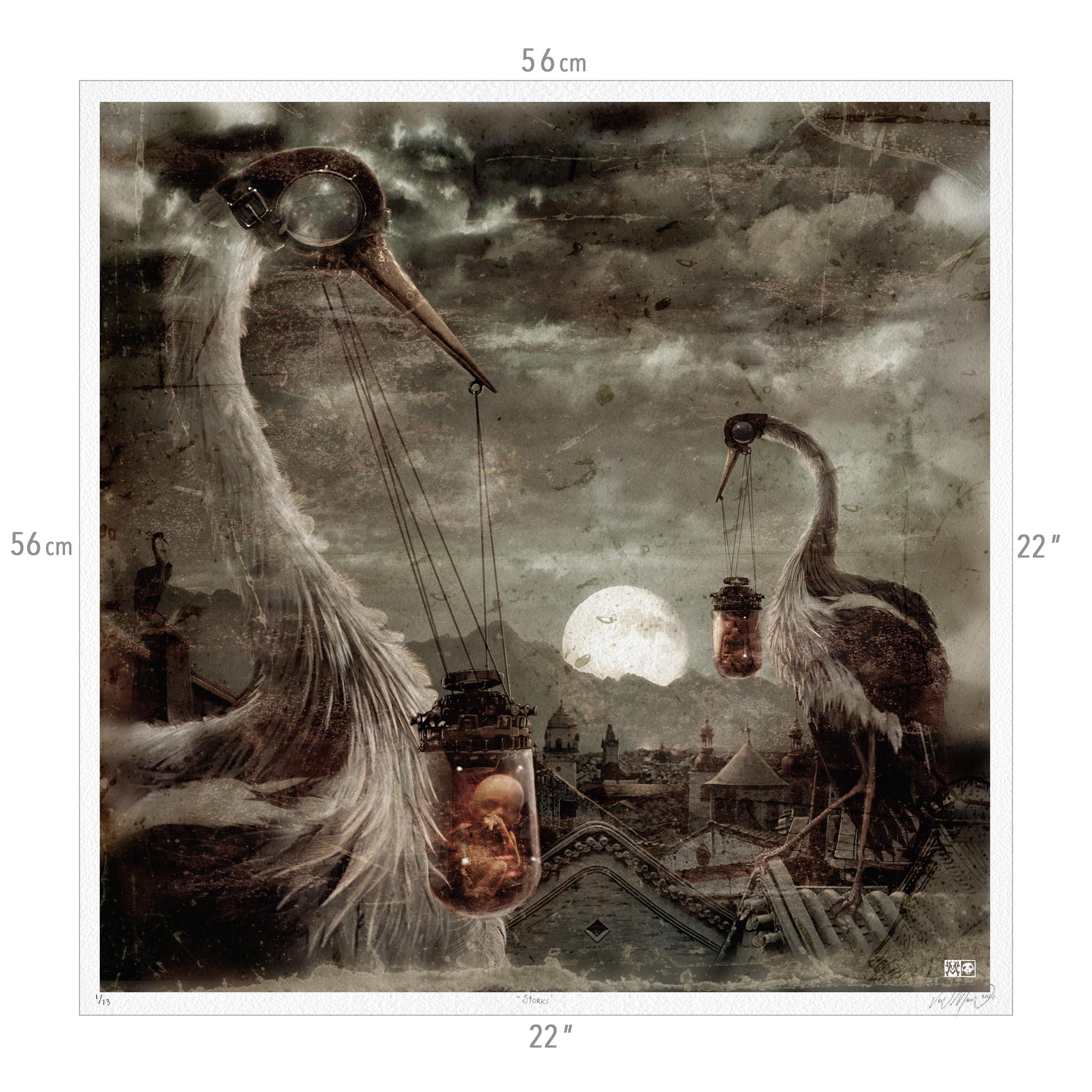 Storks ~ Exclusive Limited Edition