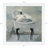 The Entire Animalia Collection