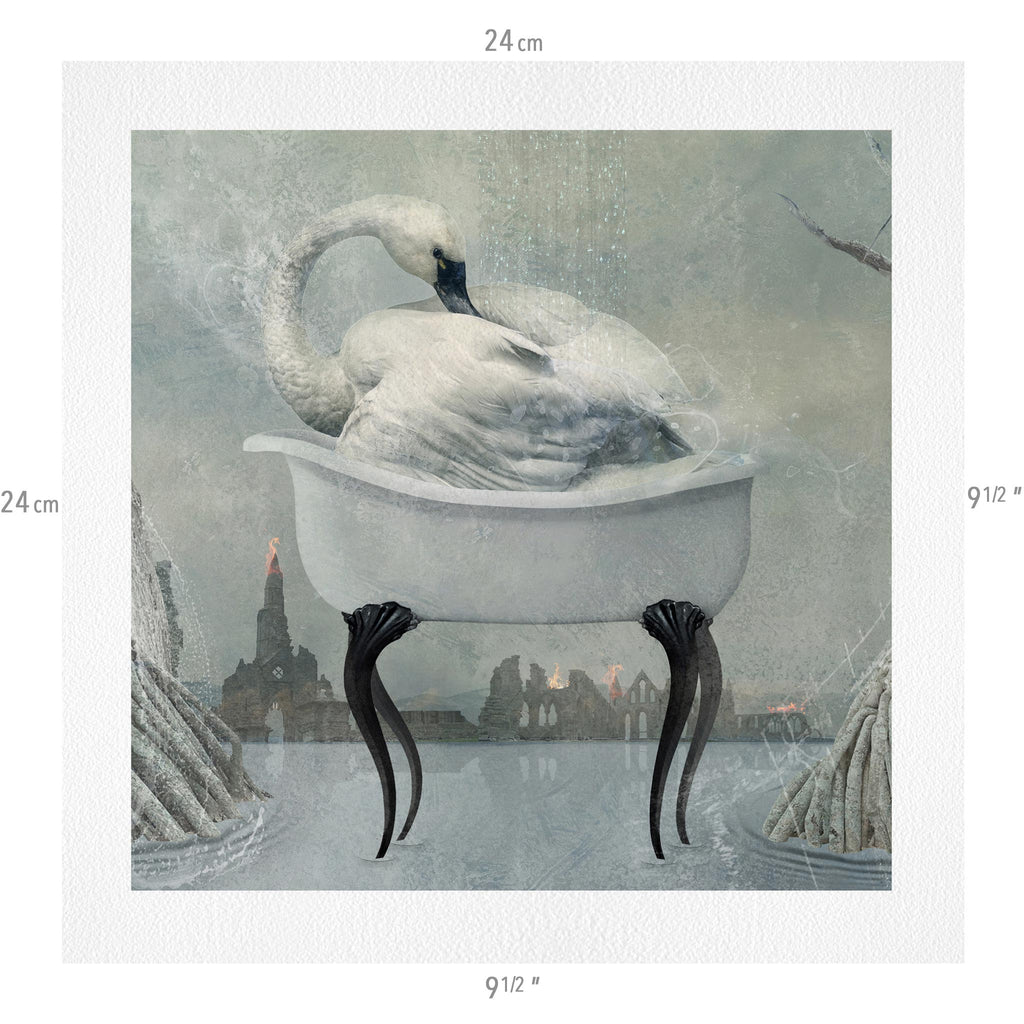The Entire Animalia Collection