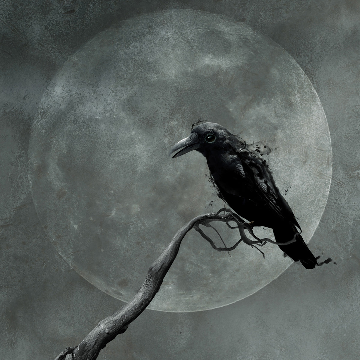 The Raven Moon