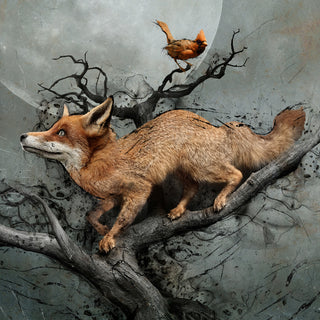 Under the Fox Moon